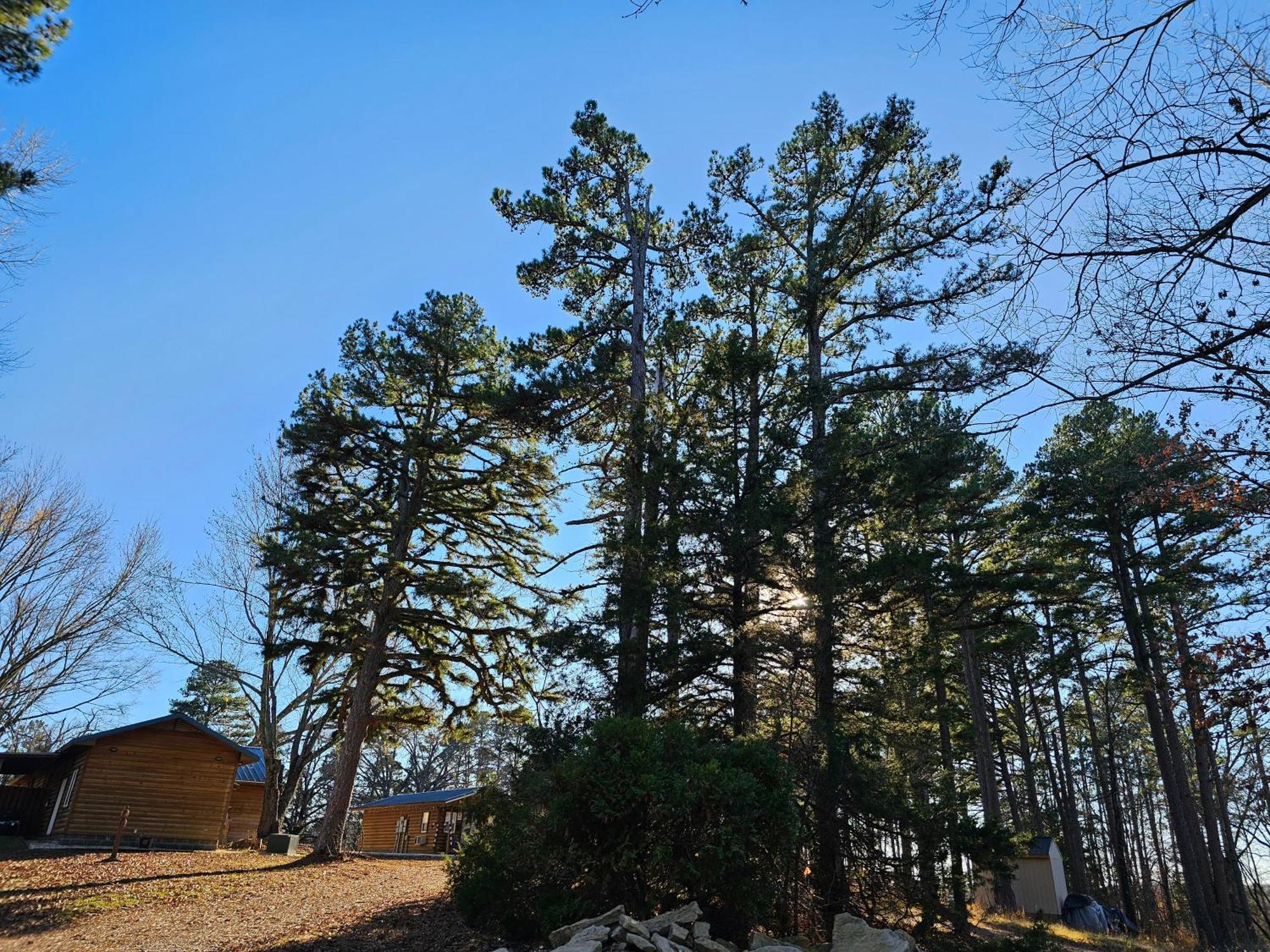 5 Min To Beaver Lake-King Bed-Fire Pit-Jetted Tub #4 Eureka Springs Exterior photo
