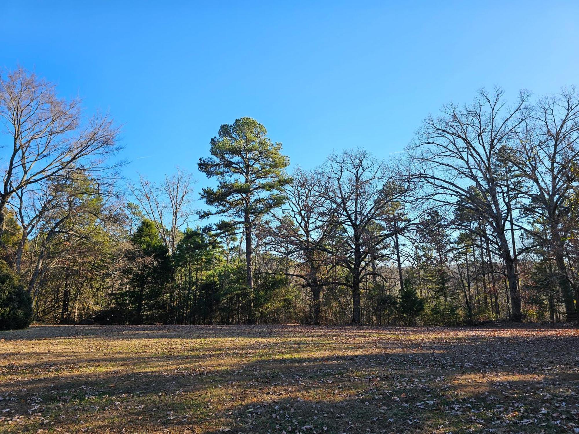 5 Min To Beaver Lake-King Bed-Fire Pit-Jetted Tub #4 Eureka Springs Exterior photo